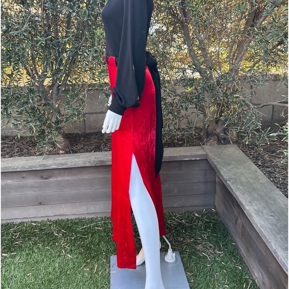 Vintage Red Velvet and Black Gown - Picture 5 of 10